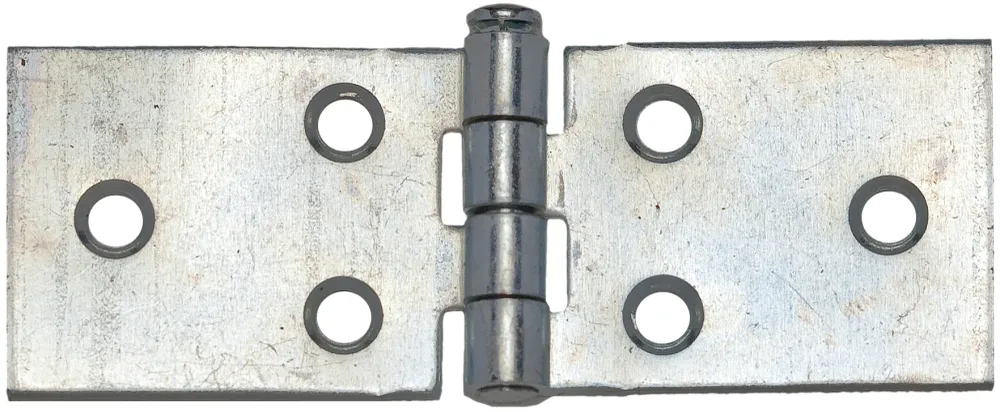 Aldeghi Cerniera Lunga Acciaio Zincato Mm. 80X25 24.00 Pz
