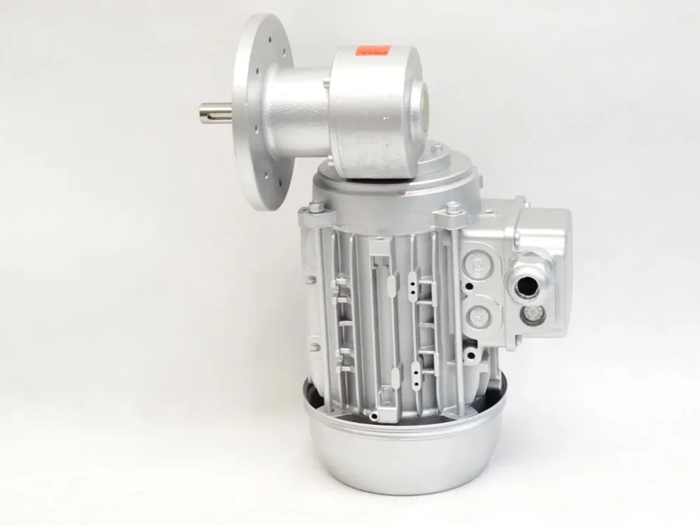 Bonora Getriebemotor HE63C/2 RGM 05-M-290 0.18kW 2730-3280rpm 7:1 / Neu