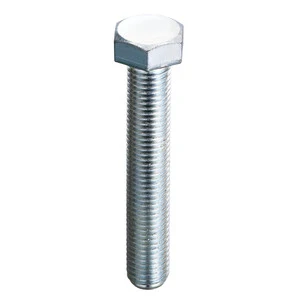 Bullone Acc.Fil.Intero T.E. Uni-5739 10X 70- 100,0 Pz
