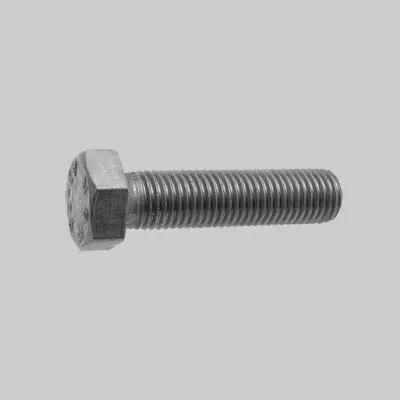 Bullone T.E. Inox 5X50 - 200 Pezzi