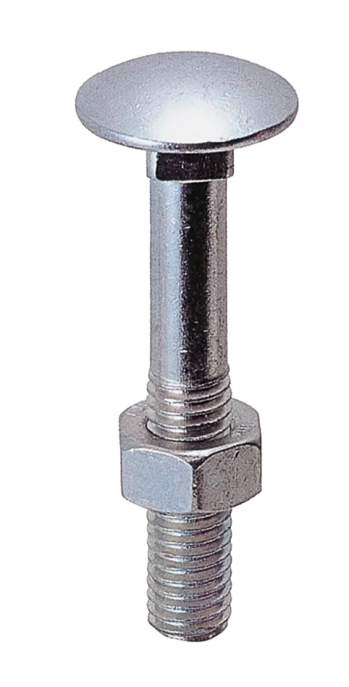 Sc Bulloni Legno 6X100 Mm 8 Pz- Bulloneria Del Toce- 5,0 Pz