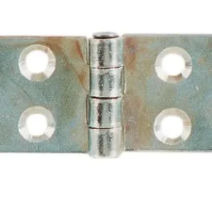 Cerniera Perno Fisso Lunga Acc Zinc 80 X 23 Mm- Aldeghi Luigi Spa- 24,0 Pz