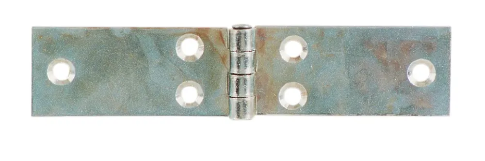 Cerniera Perno Fisso Lunga Acc Zinc 80 X 23 Mm- Aldeghi Luigi Spa- 24,0 Pz