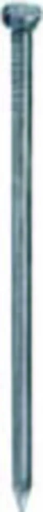 CHIODI TESTA BOMBATA INOX 1,6X25 GR 25