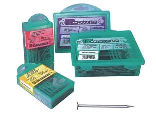 Chiodi Testa Piana Bricoline- - Ø Mm. 4,5 - 20X100 Gr.1000 - 4 Blister Cavatorta