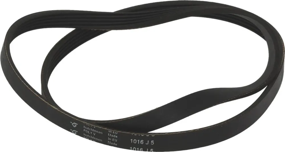 CINGHIA HUTCHINSON 1016 J5