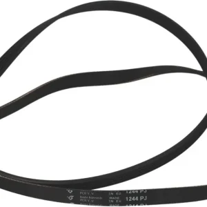 CINGHIA HUTCHINSON 1244 J5
