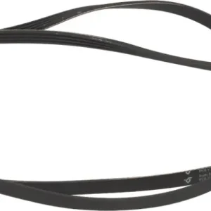 CINGHIA HUTCHINSON 1651 J4
