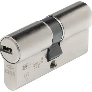 Cisa Cilindro Asix P8 Pro Mm. 79 (29,5-49,5) 30/50