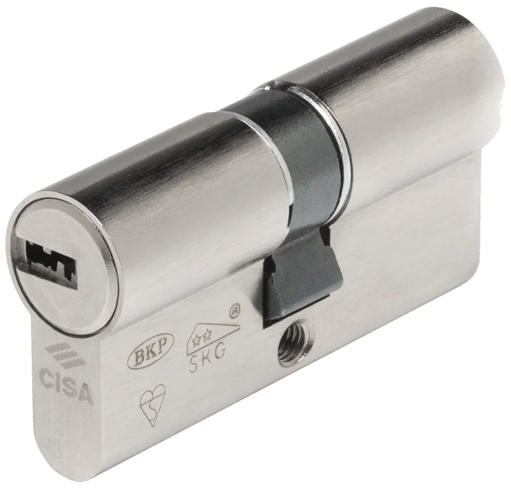 Cisa Cilindro Asix P8 Pro Mm. 99 (49,5-49,5) 50/50