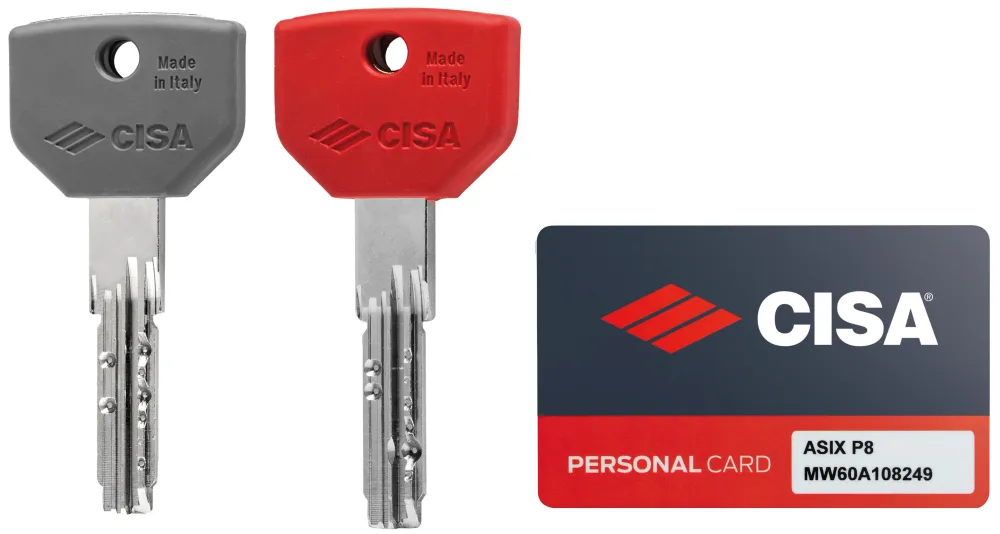 Cisa Cilindro Asix P8 Pro Mm. 99 (49,5-49,5) 50/50