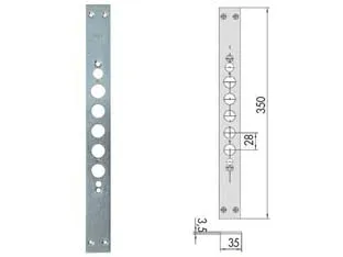 Contropiastra Per Serrature Porte Blindate Serie 17515 06221 10 Mm.350 (06221100) Cisa