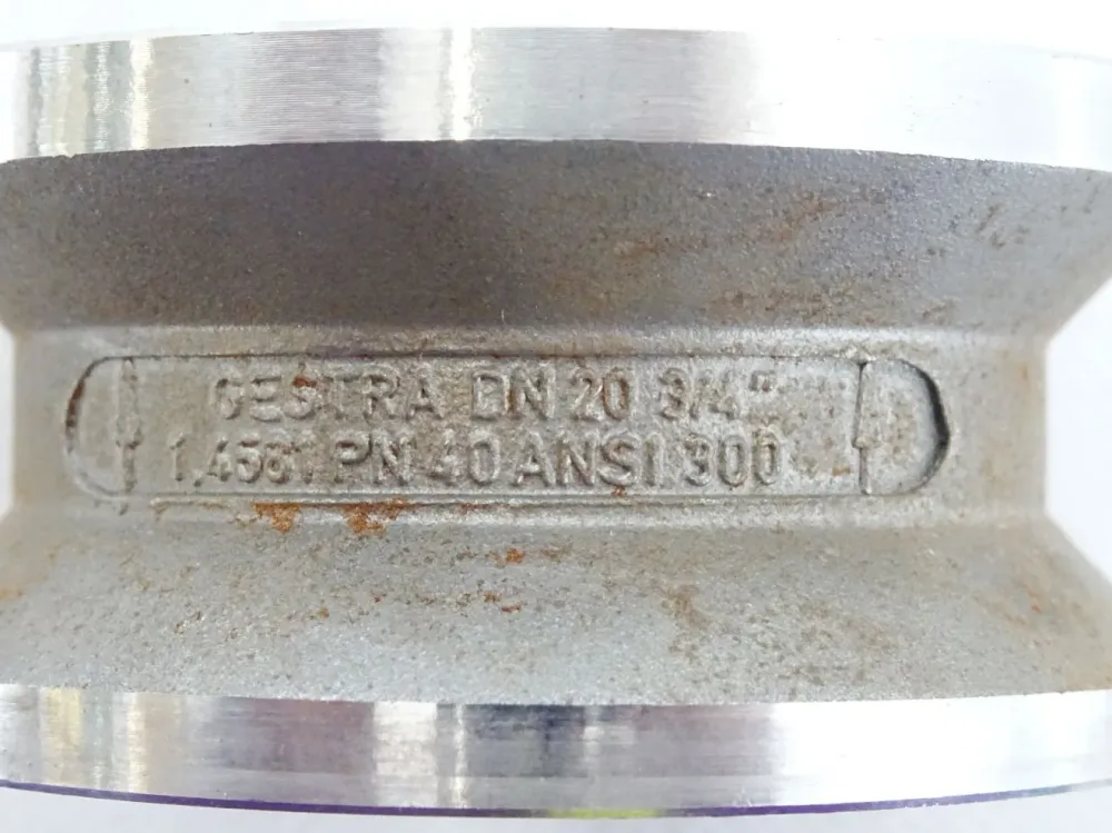 Gestra Rückschlagventil Rk16a DN20 3/4" 1.4581 PN40 ANSI 300 / Neu OVP