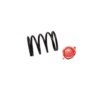 MOLLA PER COCLEA SPREMIPOMODORO MOD.SPREMITO-MED,TRE SPADE MOD.SPREMITO- MED