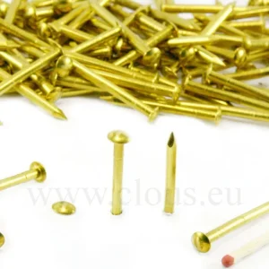 ORECA-CHIODI TESTA BOMBATA OTTONE LUCIDO mm 1,4X13 GR.30