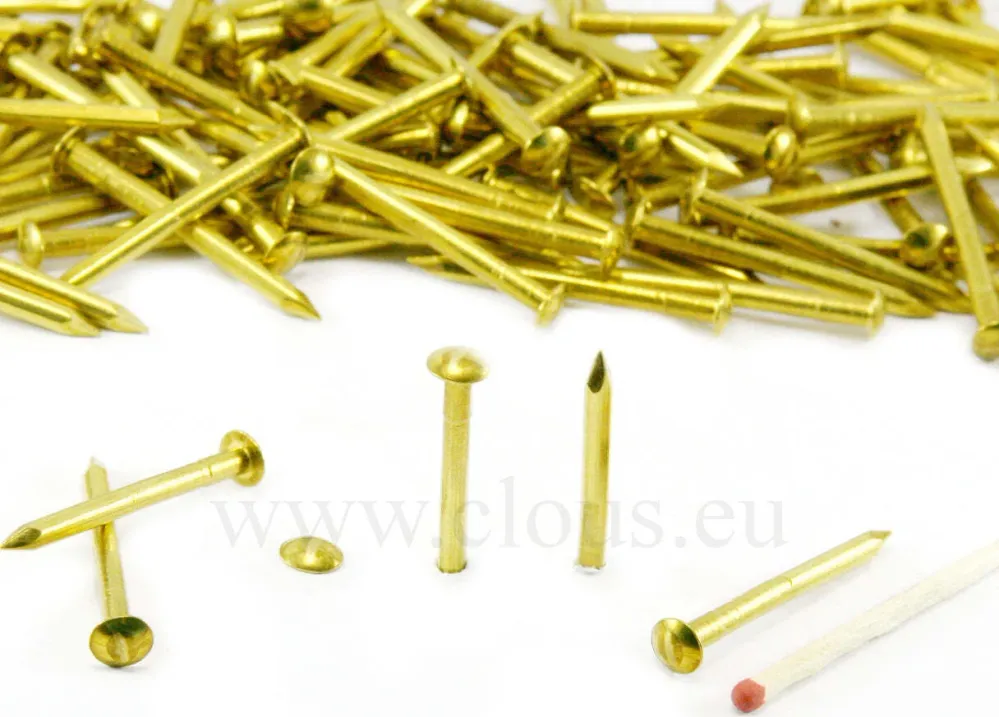 ORECA-CHIODI TESTA BOMBATA OTTONE LUCIDO mm 1,4X13 GR.30