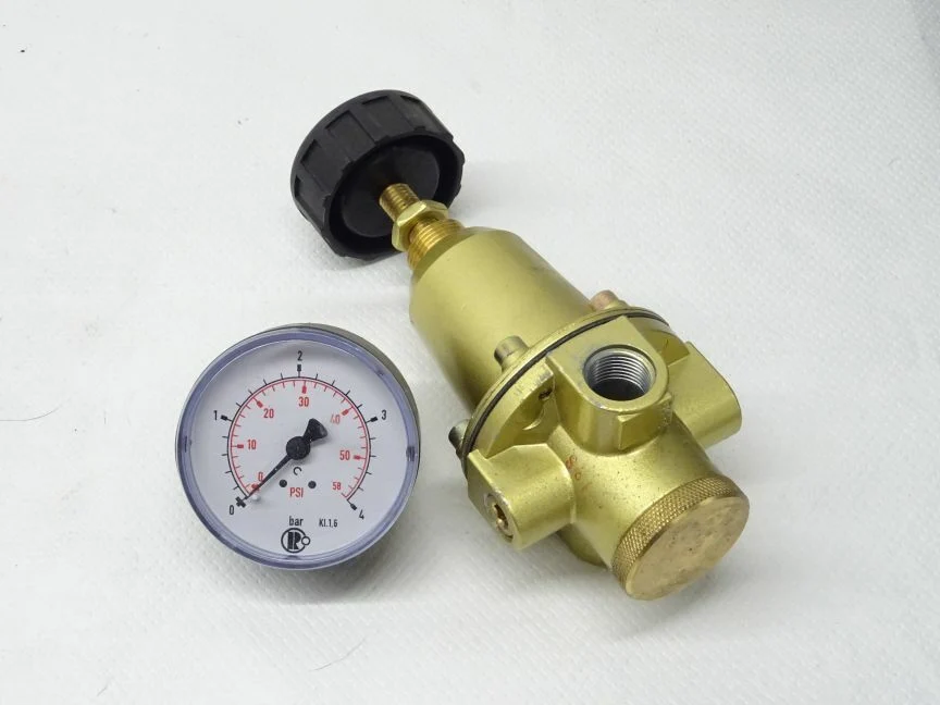 Rieger 737.311 Konstant-Druckregler 0,5-3 Bar Regler OVP