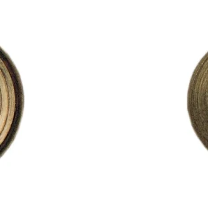 Sc Rondella Ottone D 12 Mm Da 10 Pz*- 10,0 Pz