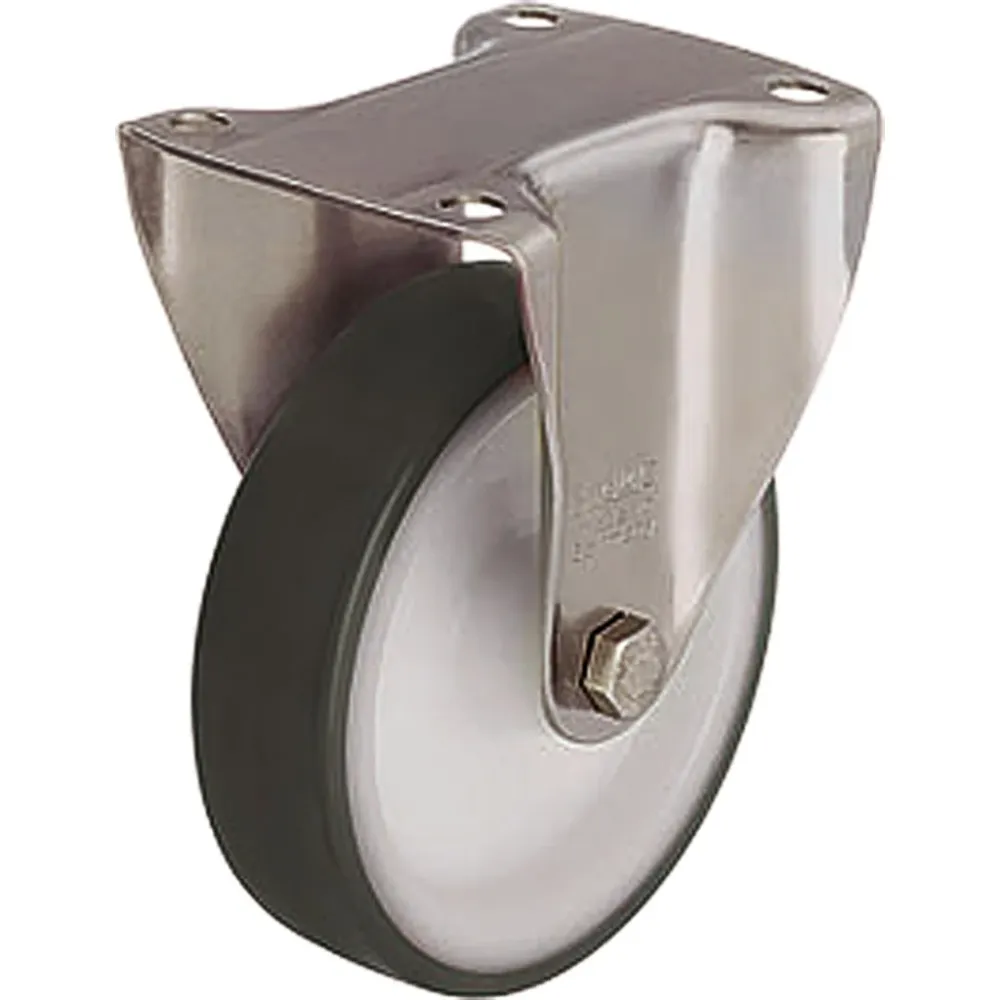 Ruota fissa acciaio inox BX-POTH 100G