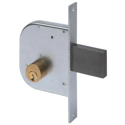 Serratura Cancello Infilare 42020 Cisa - B.Q Zinc F.Mm 22 C.Tondo M1+Scr E.Mm 50- 2 Pezzi