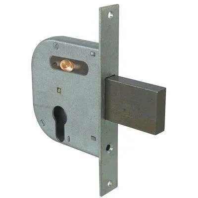 Serratura Cancello Infilare 42032 Cisa - B.Q Zinc F.Mm 22 F.Sagom M1+Scr+Pom E.Mm 50- 2 Pezzi