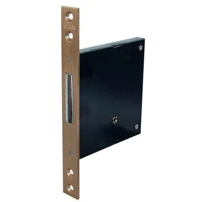 Serratura Metallo Infilare 1301 Fiam B.Q Ottone Sat F.Mm 22 C.Spillo M4 E.Mm 70