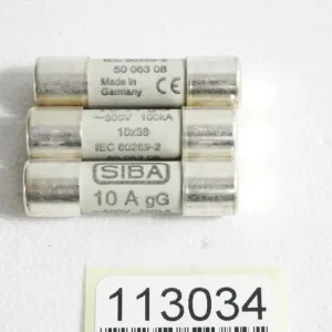 Siba Sicherungen 5006308.10 500VAC 100kA 10A gG 10x38 / inhalt:3 Stück / Neu