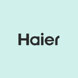 Supporti - Cerniere: 49119359 Cerniera Destra HAIER