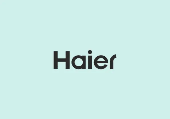 Supporti - Cerniere: 49119359 Cerniera Destra HAIER