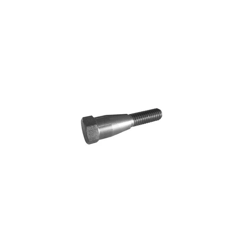 VITE INOX CAMPANA GRUPPO CIMBALI -LUNGA