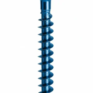 Vite Truciolare Tsp 4 X 30Mm Inox Panelvit- 2,0 Centinaia