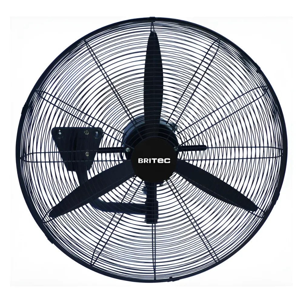 Ventilatore Industriale da Parete BDFP 650-TW Acciaio Zincato