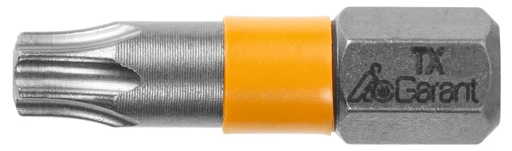GARANT Bit per viti Torx , 1/4 pollice, con zona di torsione