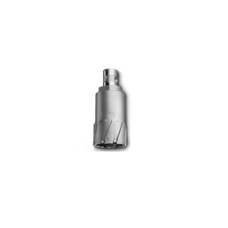 Cerniera Doppio Perno Corona hm - diam.26/35 - fein