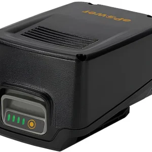 Alpina Batteria E24 20 V - 4,0 Ah