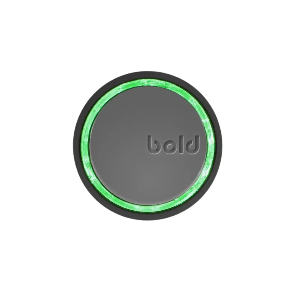 Blocco intelligente Bold SX-45 Argentato Acciaio inossidabile Con chiave
