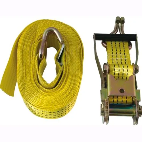 CINGHIA di ANCORAGGIO da 9 metri DOPPIA Con CRICCO MAURER 50X2 mm