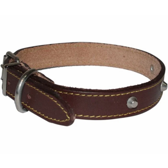 Collare Cuoio con Borchie per Cani di Media e Grossa Taglia 35x610 mm