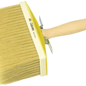 Colorea Plafone