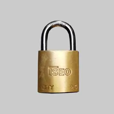 LUCCHETTO AD ARCO STANDARD 'ADITUS' ISEO mm 25. Prezzo per Pezzo.