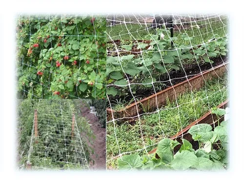 Reti ortofrutta polipropilene Sostengreen. Prezzo per rotolo.