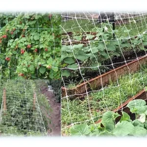 Reti ortofrutta polipropilene Sostengreen. Prezzo per rotolo.