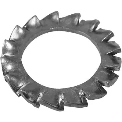 RONDELLA DENTELLATA M 10 pz. 10. Prezzo per Pezzo.