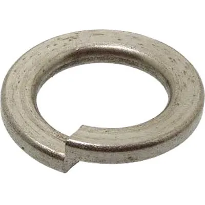 RONDELLA GROWER M 6 pz. 20. Prezzo per Pezzo.