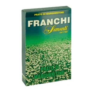 Semi prato margherite Franchi. Prezzo per Pezzo.