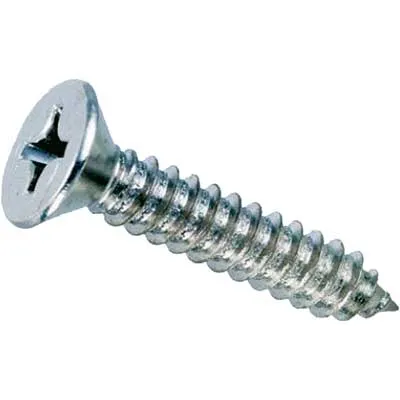VITE AUTOFILETTANTE TSP ZINCATA mm 4,2x13 pz. 20. Prezzo per Pezzo.