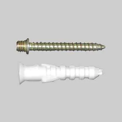 VITE E TASSELLO PER COLLARE LEGGERO M6x30. Prezzo per Pezzo.