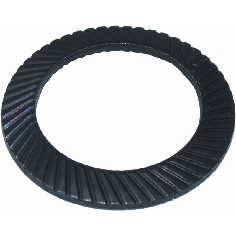 Inossidabile Rondella elastica schnorr - m 16 -
