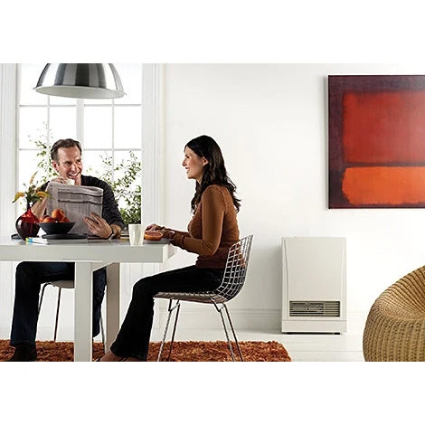 Bottone Pressione per Tessuti Spessi Rinnai - EX08DTN - Naturale Gas Direct Vent Wall Furnace