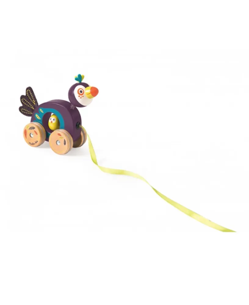 Pulsante con Protezione Tucano legno da Tirare Dans La Jungle Moulin Roty